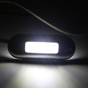 LED Multi-Volt Clear Flush Mount with Stainless Steel Trim